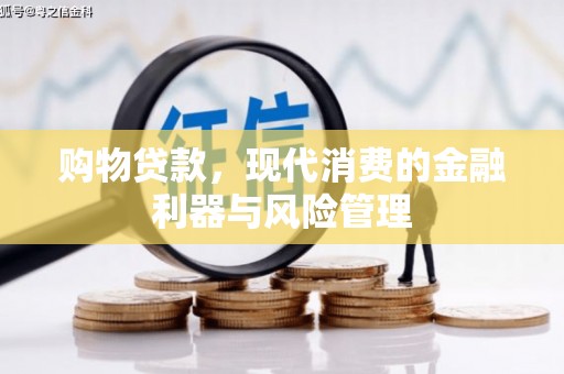 海港购物贷款，现代消费的金融利器与风险管理