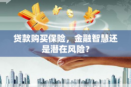 海港贷款购买保险，金融智慧还是潜在风险？