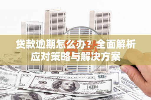 海港贷款逾期怎么办？全面解析应对策略与解决方案