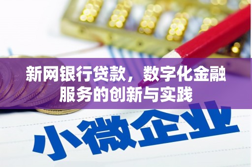 海港新网银行贷款，数字化金融服务的创新与实践