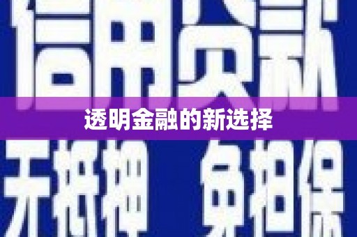 海港透明金融的新选择