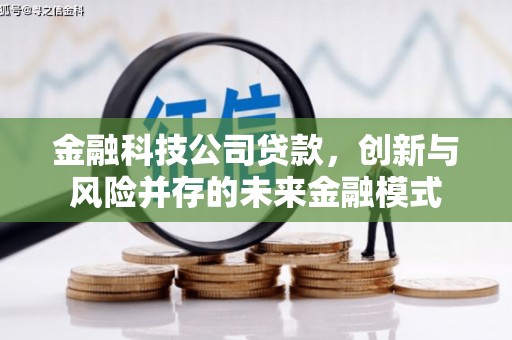 海港金融科技公司贷款，创新与风险并存的未来金融模式