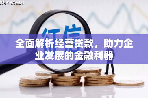 海港全面解析经营贷款，助力企业发展的金融利器