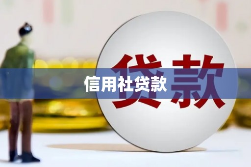 海港信用社贷款