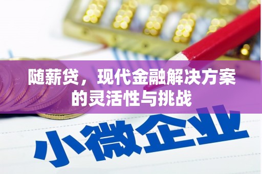 海港随薪贷，现代金融解决方案的灵活性与挑战