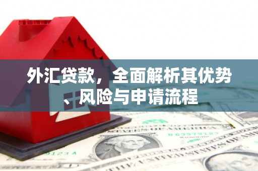 海港外汇贷款，全面解析其优势、风险与申请流程