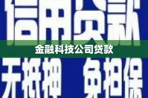 海港金融科技公司贷款