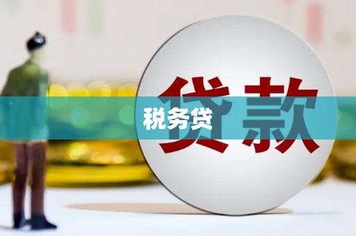 海港税务贷