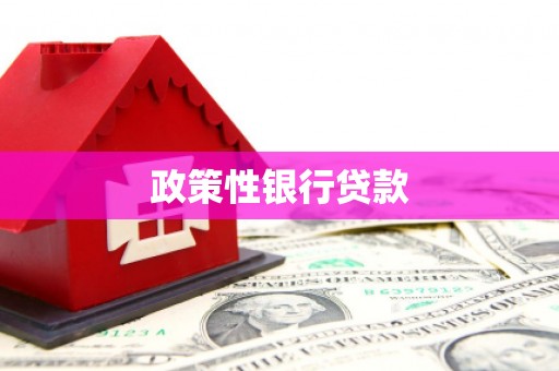 海港政策性银行贷款