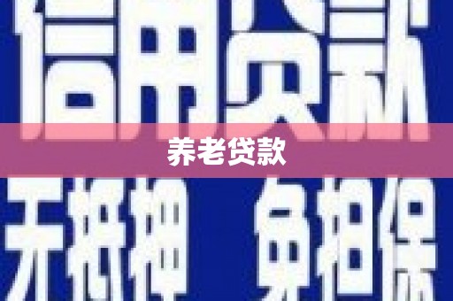 海港养老贷款