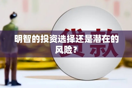 海港明智的投资选择还是潜在的风险？