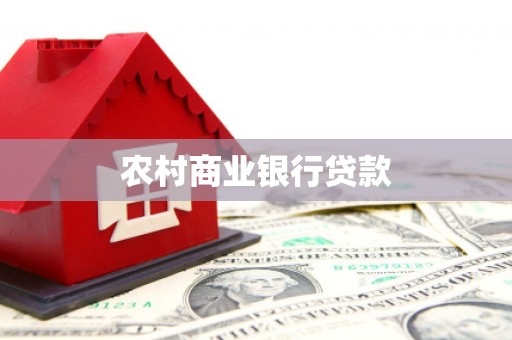 海港农村商业银行贷款