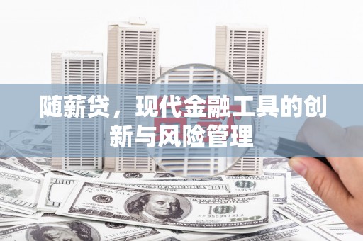 海港随薪贷，现代金融工具的创新与风险管理