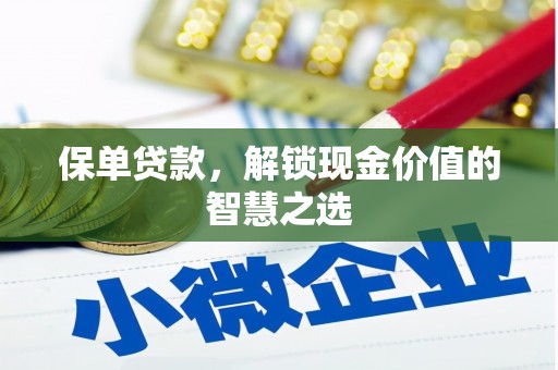 海港保单贷款，解锁现金价值的智慧之选