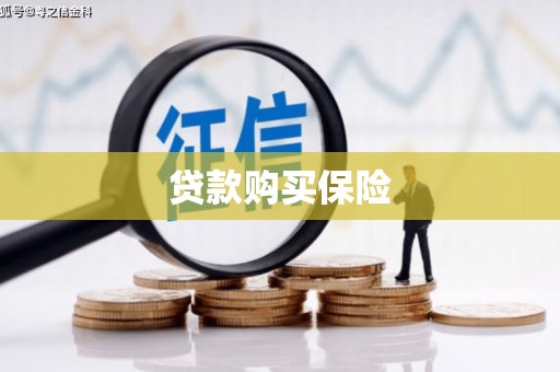 海港贷款购买保险