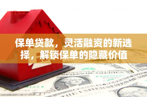 海港保单贷款，灵活融资的新选择，解锁保单的隐藏价值