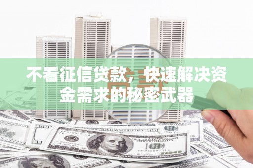 海港不看征信贷款，快速解决资金需求的秘密武器