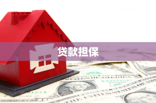 海港贷款担保