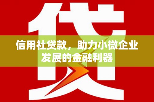 海港信用社贷款，助力小微企业发展的金融利器