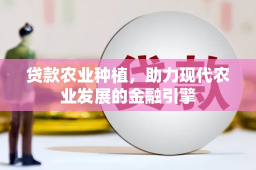 海港贷款农业种植，助力现代农业发展的金融引擎