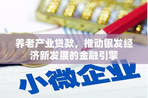 海港养老产业贷款，推动银发经济新发展的金融引擎