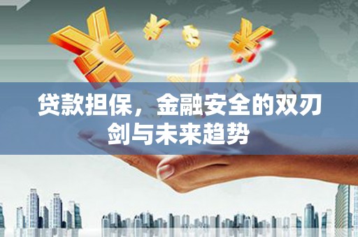 海港贷款担保，金融安全的双刃剑与未来趋势