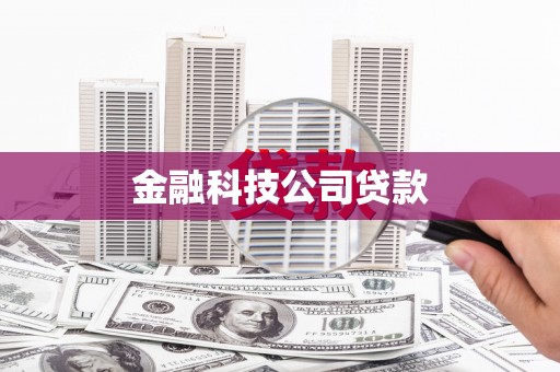 海港金融科技公司贷款