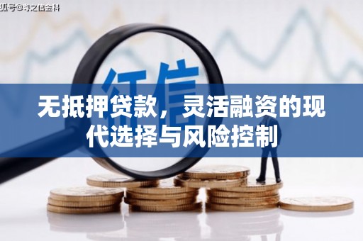 海港无抵押贷款，灵活融资的现代选择与风险控制