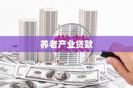 海港养老产业贷款
