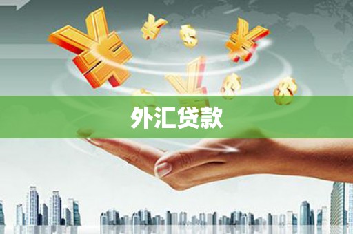 海港外汇贷款