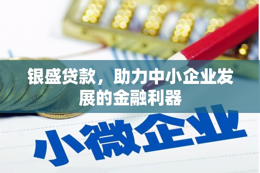 海港银盛贷款，助力中小企业发展的金融利器