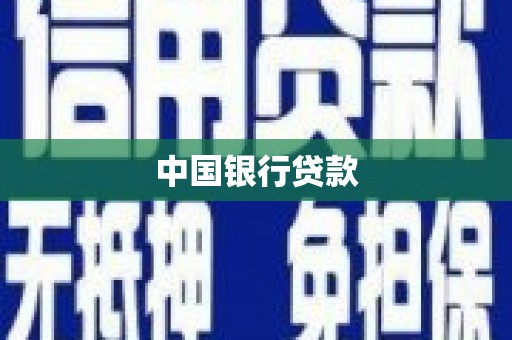 海港中国银行贷款