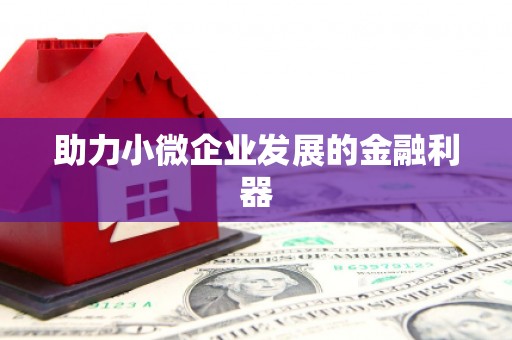 海港助力小微企业发展的金融利器