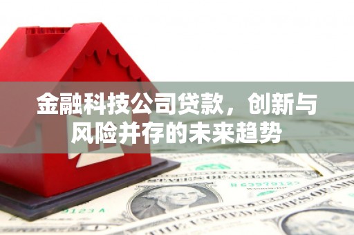 海港金融科技公司贷款，创新与风险并存的未来趋势