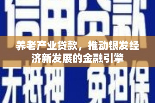 海港养老产业贷款，推动银发经济新发展的金融引擎