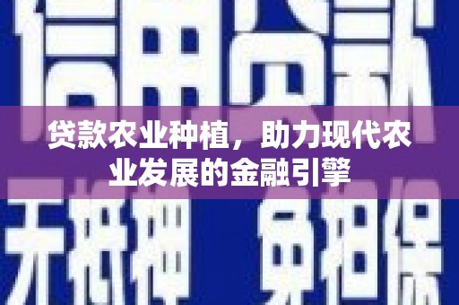 海港贷款农业种植，助力现代农业发展的金融引擎