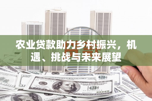 海港农业贷款助力乡村振兴，机遇、挑战与未来展望