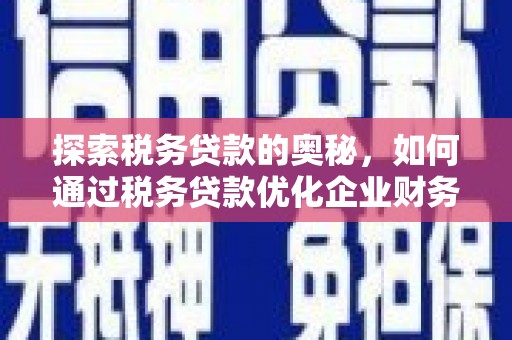 海港探索税务贷款的奥秘，如何通过税务贷款优化企业财务