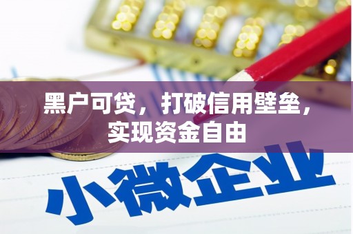 海港黑户可贷，打破信用壁垒，实现资金自由