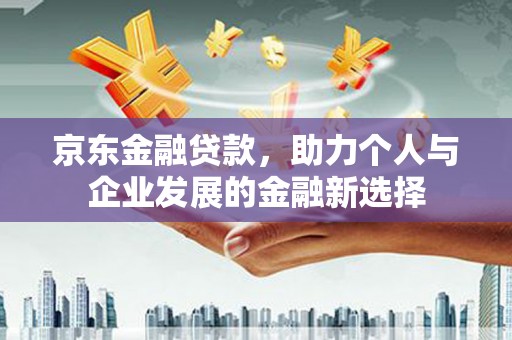 海港京东金融贷款，助力个人与企业发展的金融新选择