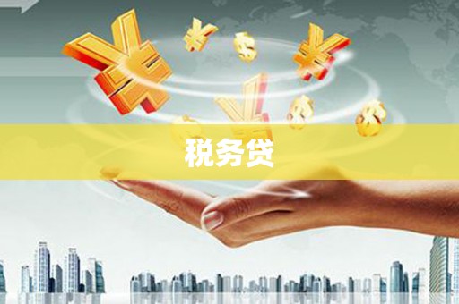 海港税务贷