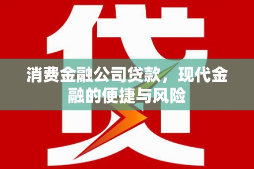 海港消费金融公司贷款，现代金融的便捷与风险
