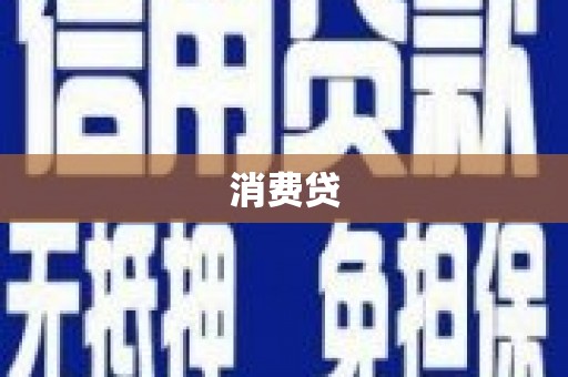 海港消费贷