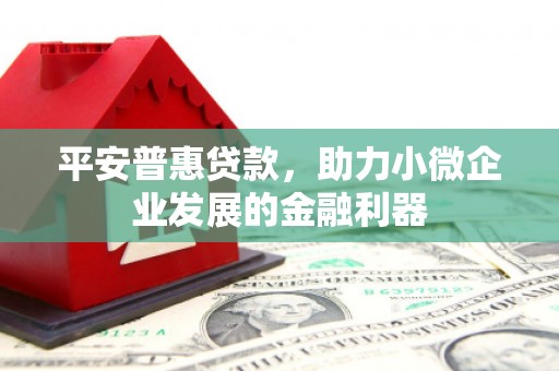 海港平安普惠贷款，助力小微企业发展的金融利器