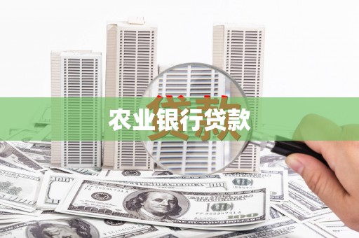 海港农业银行贷款