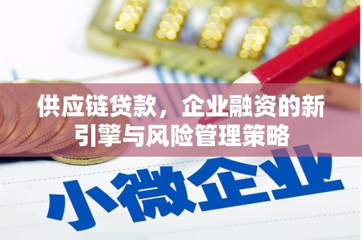 海港供应链贷款，企业融资的新引擎与风险管理策略