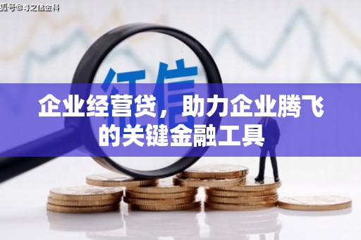 海港企业经营贷，助力企业腾飞的关键金融工具