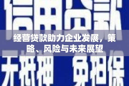 海港经营贷款助力企业发展，策略、风险与未来展望
