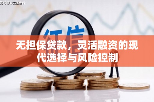 海港无担保贷款，灵活融资的现代选择与风险控制