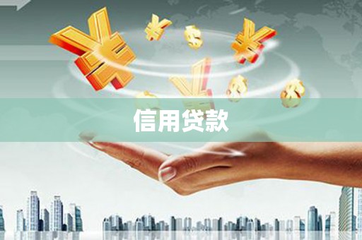 海港信用贷款